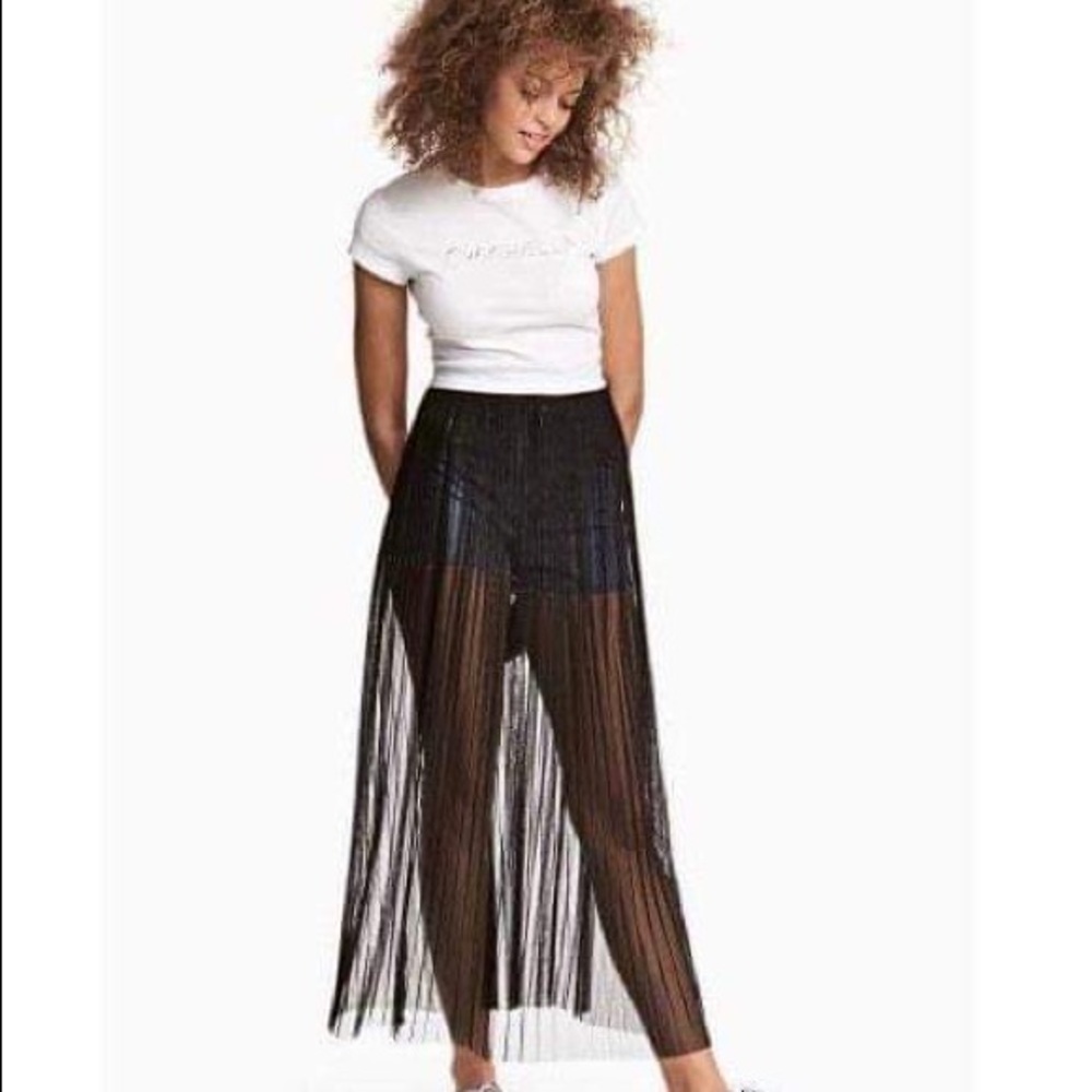 H&M Pleated Mesh Skirt, NWT, Size 4